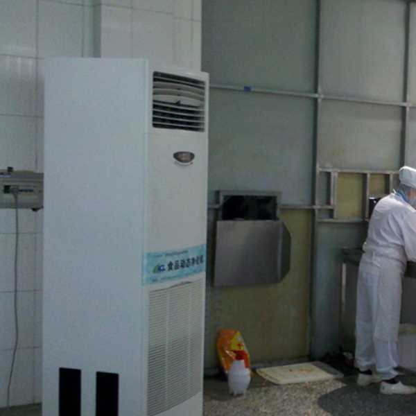 临高食品正负离子空气杀菌器